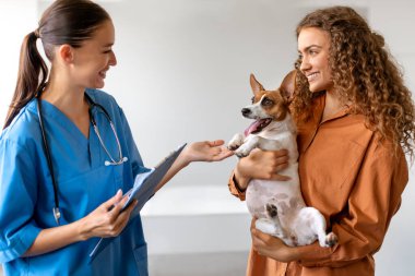 Veteriner ve mutlu kadın, veteriner kliniğinde yaşanan olumlu deneyimin göstergesi olarak, alarm durumundaki Jack Russell Terrier ile temas kurar.