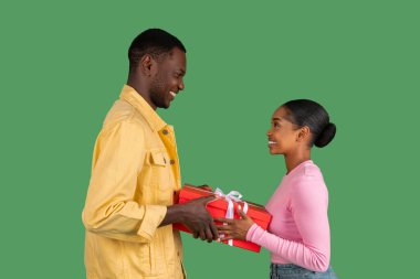 Happy black couple in love exchanging anniversary gifts, celebrating Christmas, New Year or Valentines Day together, posing isolated on green studio background