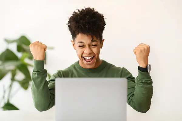 Job opportunities, business success. Portrait of happy handsome stylish millennial african american man working on laptop at home office, looking at computer screen and rasising hands up