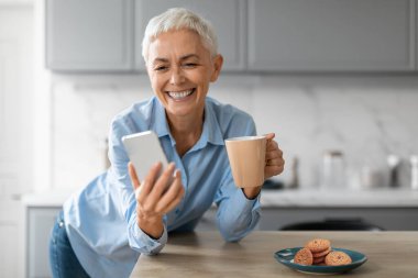 Son sınıf öğrencisi mutlu bir kadın sabah kahvesini içerken, akıllı telefon zımbırtısı ve fincanıyla ayakta dikilirken, web sörfü yaparken ve mesaj atarken modern mutfakta. Mobil iletişim konsepti