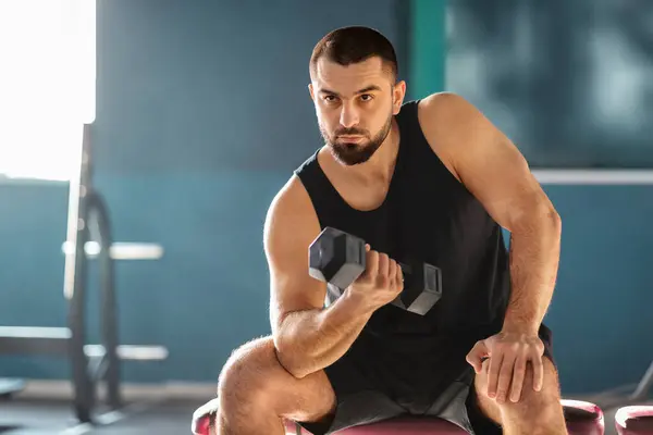 Motivated Muscular Man Training With Dumbbell In Modern Gym, Strong Caucasian Sportsman Making Seated Biceps Curl, Handsome Male Athlete Working Out With Light Weights In Sport Club, Free Space
