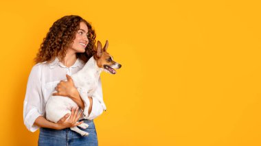 Kıvırcık saçlı, güler yüzlü kadın coşkulu Jack Russell Terrier 'ını kucaklıyor, canlı sarı arka planda poz veriyor, panorama, serbest alan.