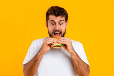 Heyecanlı beyaz adam lezzetli çizburgerleri ısırıyor, hamburger yerken ağzını açıyor, sarı stüdyo arkaplanına karşı. Portre, konforlu yemek ve abur cubur zevkini yakalar.