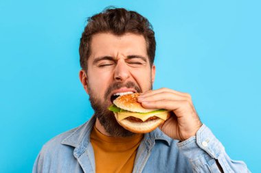 Komik sakallı adam hile yemekten zevk alıyor. Burgerin tadını çıkarıyor. Mavi stüdyo arka planında. Yakın plan portresi. Lezzetli fast food yiyen, iştahlı çizburger yiyen bir adam.