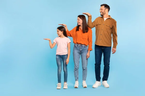 家庭等级制度 快乐的白人父母和小女儿站在一起 手拿着测量彼此的身高 翻过蓝色的工作室背景 全身而退 空荡荡 — 图库照片