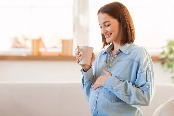 Young Pregnant Woman Enjoying Drinking Hot Tea And Touching Belly Standing Indoor, Holding Cup. Expectant Lady Having Healthy Beverage Or Coffee In The Morning. Free Space