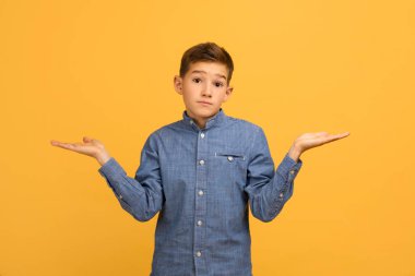 - Bilmiyorum. - Neden? Tereddütlü bir gencin omuz silkip kollarını açması, şüpheli bir çocuğun kameraya bakması, sarı stüdyonun arka planında izole edilmiş güvenilmez bir gencin portresi,