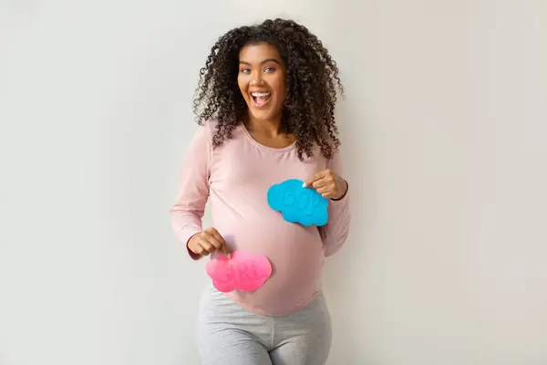 喜びに満ちた黒人の妊婦はピンクのGirlおよび青いBoyの印を興奮させ 今後の性別が明らかにする喜びを表現する幸せな若いアフリカのアメリカの期待する女性白い壁に立って — ストック写真