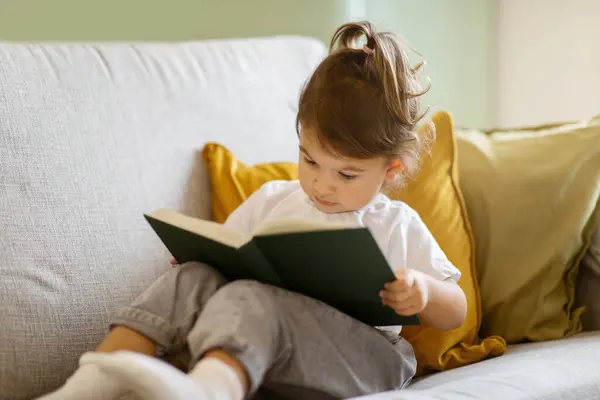 自宅でソファーに座っている間 かわいい少女の読書本 物語に魅了された愛らしい未就学児の女性の子供 識字の初期段階と読書の喜びを説明 クローズアップ — ストック写真