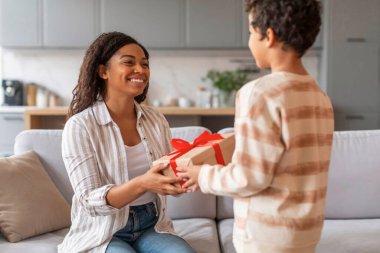 Küçük siyah çocuk, mutlu annesine kırmızı kurdeleli hediye kutusu veriyor, doğum günüyle ya da anneler günüyle karşılıyor, iki Afro-Amerikan ailesini seven, evlerinde samimi bir değiş tokuş gerçekleştiren