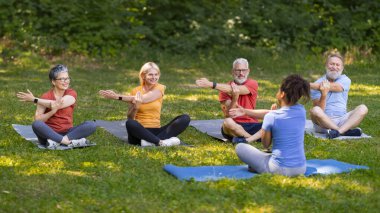 Yoga eğitmenlerinin hareketlerini izleyen hevesli bir grup son sınıf öğrencisi, dışarıda eğitim gören, yaz parkı ortamında eğitim gören, sağlıklı yaşam tarzı aktivitelerine katılan çeşitli yaşlı insanlar.