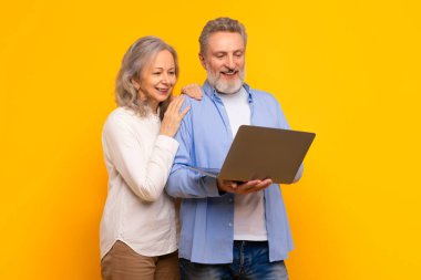 Modern Avrupalı olgun çiftlerin internet sitelerine birlikte bakmaları, internet teknolojisinin tadını çıkarmaları, sarı stüdyo arkaplanına karşı aletlerle durmaları. Bağlı yaşlılar için çevrimiçi boş zaman