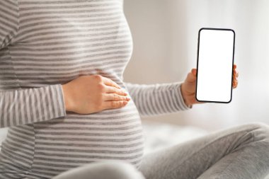 Hamilelik Uygulaması. Tanımlanamayan hamile kadın beyaz ekranlı akıllı telefon gösterisi yapıyor, kadınları beklemek için yeni mobil uygulama öneriyor, fotokopi alanı olan görüntüyü taklit ediyor