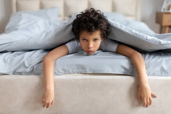 Young African American Boy Curly Hair Playfully Peeking Out Cozy Stock Image
