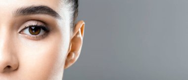 Mükemmel ciltli, yakın plan, gri arkaplanda boş bir yer olan genç ve güzel bir kadının yarı yüz portresi.