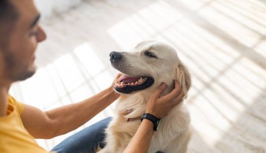 En iyi arkadaş konsepti. Milenyum Arap erkeği evde köpeğini kaşıyarak seçici bir şekilde odaklanıyor. Genç Doğulu adam sevimli hayvanıyla oynuyor, Golden Retriever 'la içeride vakit geçiriyor.