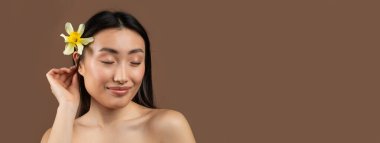 Cosmetics concept. Happy chinese lady with daffodil flower in hair posing over brown studio background, free space. Young japanese woman enjoying natural beauty clipart