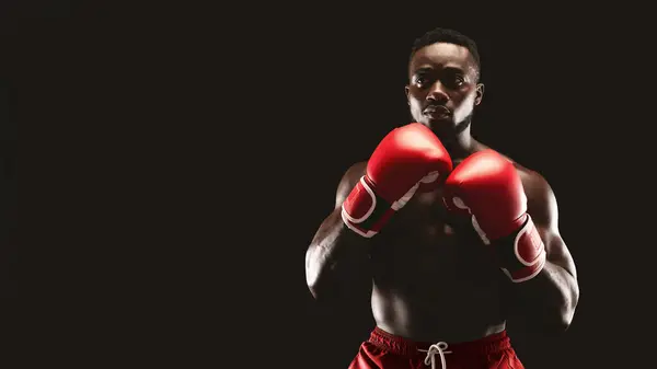 stock image A muscular boxer in red shorts and gloves stands in a fighting stance, looking directly at the camera, against a black background.