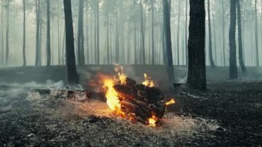 Ormandaki vahşi yangın manzarayı kapatıyor. Ormanların tahrip edilmesi ve küresel ısınma kavramı. Orman yangını felaketi, kuru çalıların yanması, iklim değişikliği, hava kirliliği