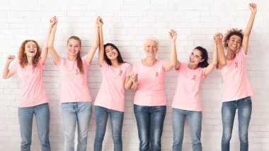 Göğüs Kanseri Destek Grubu. Pembe tişörtlü, kurdeleli, el kaldırarak Beyaz Duvar 'ın Ötesinde Başarılı Tedavimizi Kutlayan Kadınlar. Panorama