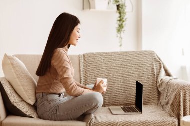 Kız Blogcu Laptopunu Kullanıyor, Evde Sosyal Ağ Sörf Yapıyor, Boş Alan