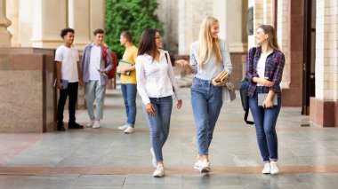 Üniversite hayatı. Kızlar derslerden sonra yürüyüş ve açık havada mola sırasında sohbet