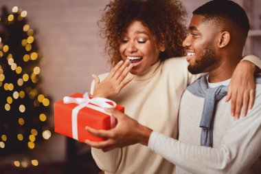 Afrika kökenli Amerikalı bir çift Noel 'i evde kutluyor. Adam karısına sürpriz yapıyor.