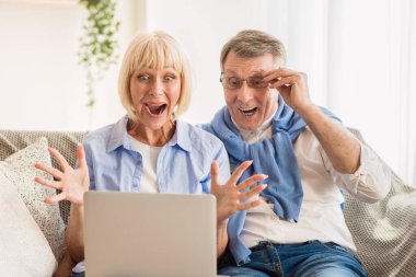 Piyango kazan. Şaşırtıcı yetişkin çift online açık artırma teklifini kazanıyor, dizüstü bilgisayara bakıyor, kopyalama alanı