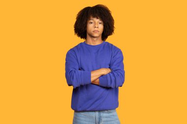 Genç bir adam kollarını kavuşturup rahatlamış bir tavır sergiliyor. Canlı sarı arka plan deneklerin varlığını artırıyor. İfadesine ve kıyafetine dikkat çekiyor..