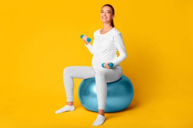 Hamilelik Çalışması. Gülümseyen Bekleyen Kadın, Pembe Arkaplan Üzerinde Oturan Dambıllarla Egzersiz Yapıyor. Stüdyo Çekimi, Boş Alan