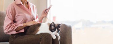 Yumuşak Arkadaş 'la Hayat. Kucağındaki kediyi tutan ve okşayan tanınmayan genç bir kadın akıllı telefon kullanarak, mesaj atarak ve internette sörf yaparak rahat bir evde oturuyor. Seçici Odaklanma Hayvan, Kırpılmış