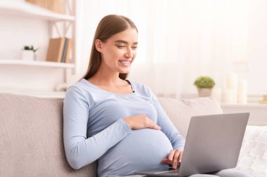 Evdeki koltukta oturan hamile kadının dizüstü bilgisayarını kullanarak internet okuyup, hamilelik bloglarını okuması çok güzel. Seçici Odaklanma