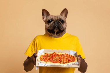 A French Bulldog wearing a yellow t-shirt is holding a pizza box in front of a plain, peach-colored background. The dog is looking directly at the viewer. clipart