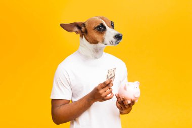 Köpek kafası olan bir adam, elinde domuz kumbarası ve biraz para tutarken sola bakıyordu. Beyaz bir tişört giyiyor ve parlak sarı bir arka planın önünde duruyor..