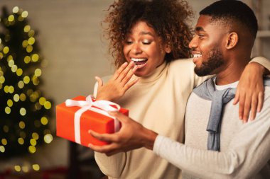 Afrika kökenli Amerikalı bir çift Noel 'i evde kutluyor. Adam karısına sürpriz yapıyor.