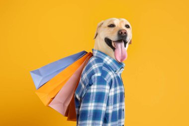 Neşeli bir köpek gururla durur, sırtında renkli alışveriş torbaları gösteren mavi kareli bir gömlek giyer. Parlak sarı arka plan, o anın neşeli havasını arttırır.