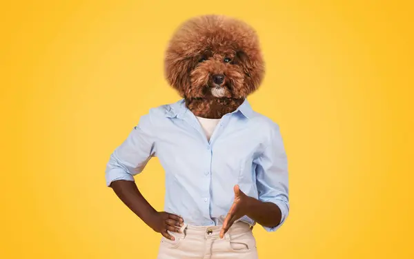 stock image A humorous display features a dog with a fluffy brown head atop a person body, who stands confidently with one hand on their hip. The vibrant yellow backdrop enhances the playful vibe