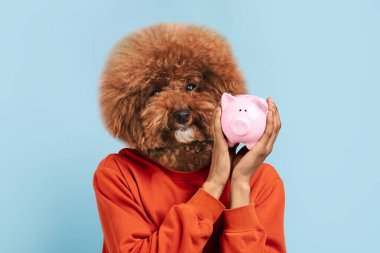 Neşeli bir an, tüylü bir köpek kafası olan, pembe bir kumbarayı yakından tutan birini yakalar. Arkaplanda açık mavi bir renk var. Tuhaf atmosferi arttırıyor..