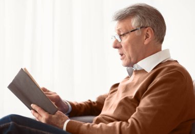 Son sınıf öğrencisi hafta sonu evdeki pencerenin yanındaki koltukta kitap okuyor. Emekli yaşam tarzı. Seçici Odaklanma