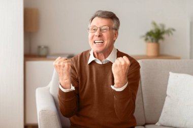 - Zafer. Neşeli yaşlı adam yumruklarını sallıyor ve evdeki koltukta oturan başarısını kutluyor..