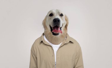 Cheerful golden retriever stands upright, wearing a casual button-up shirt. The dog has a joyful expression, embodying a friendly and playful demeanor, set against a simple, light-colored background. clipart