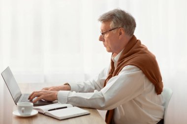 Kıdemli Girişimci. Modern Ofis 'te Dizüstü bilgisayarda çalışan yaşlı iş adamı pencereye karşı oturuyor. Yan Görünüm