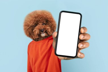 Şirin tüylü kürklü bir köpek boş bir akıllı telefonu tutarken şakacı bir poz veriyor. Köpek parlak turuncu bir gömlek giyer ve onun anlamlı gözleri neşe katar.