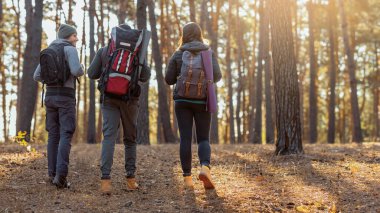 Sırt çantalı üç genç arkadaş sonbahar ormanlarında yürüyüş yapıyor.