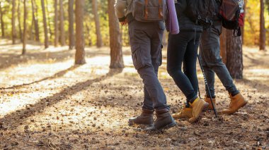 Arka planda, ormandan fotokopi alanına giden üç gezgin görülüyor.
