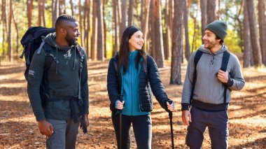 Uluslararası gezginler ormanda yürüyüp neşeyle konuşuyorlar.