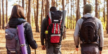 Çam ormanının yanından geçen üç çok ırklı gezginin yakın çekimi.