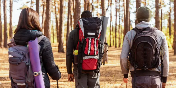 Çam ormanının yanından geçen üç çok ırklı gezginin yakın çekimi.