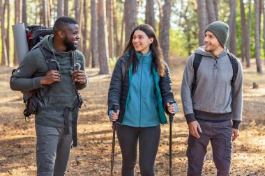 Sırt çantalı çok ırklı yürüyüşçüler ormanda yürüyor, sohbet ediyorlar.