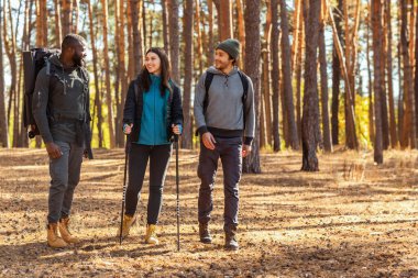 Neşeli çoklu etnik gruplar, iki erkek ve kadın ormanda yürüyor ve konuşuyorlar.